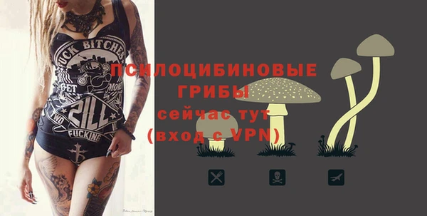 молекула духа Белокуриха