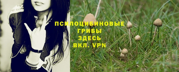 альфа пвп Беломорск