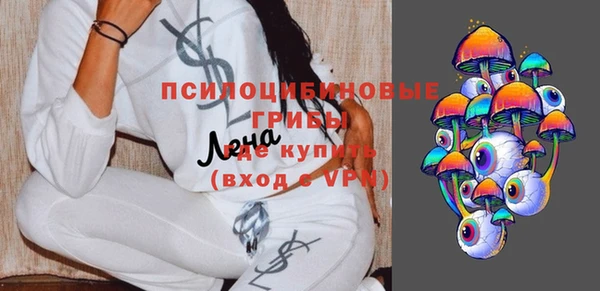 молекула духа Белокуриха