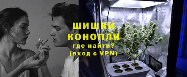 молекула духа Белокуриха