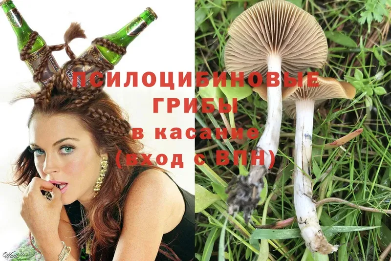 Псилоцибиновые грибы Psilocybine cubensis  дарк нет состав  Вятские Поляны 