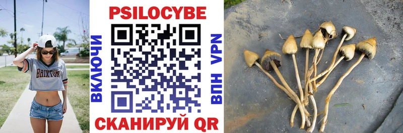 где можно купить наркотик  Вятские Поляны  Галлюциногенные грибы Magic Shrooms 