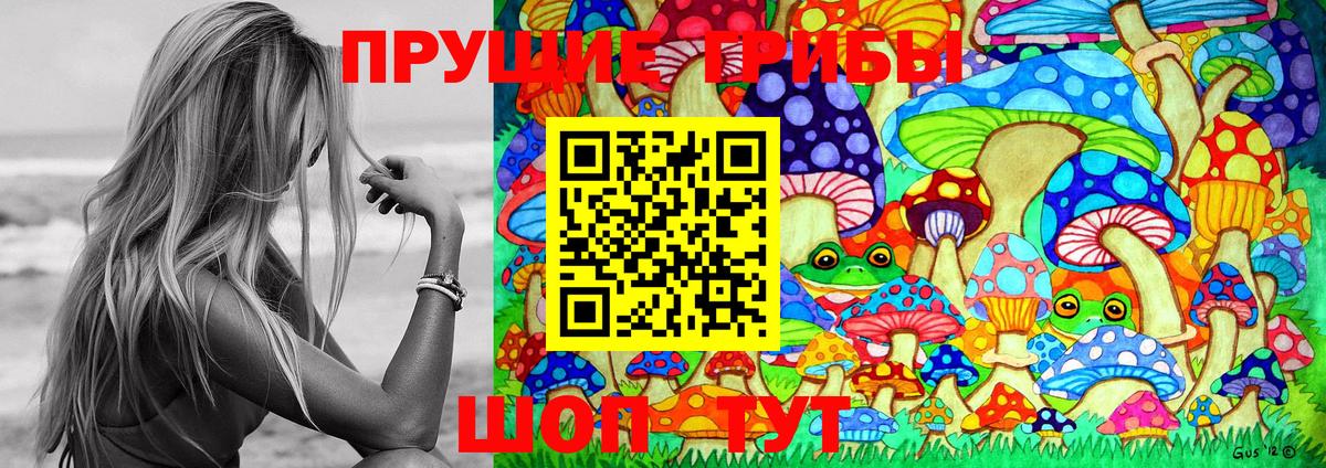 Псилоцибиновые грибы прущие грибы Вятские Поляны