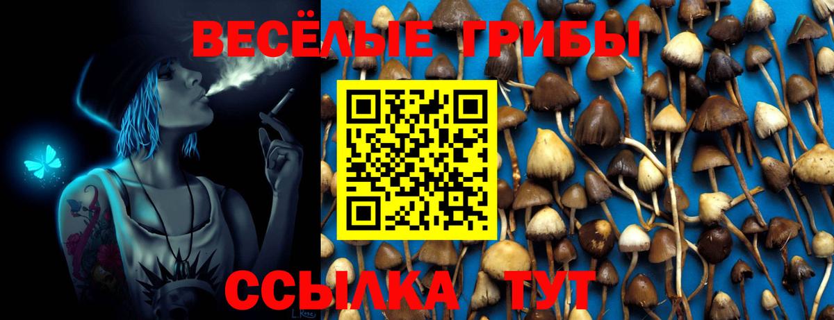 Галлюциногенные грибы Magic Shrooms Вятские Поляны